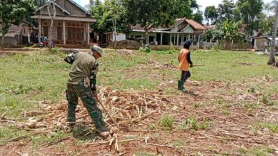 2 Hektar Lahan di Lenteng Timur Siap Tanam  Jagung Lagi