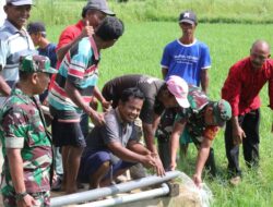 40 Hektar Sawah di Manding Siap Diairi Dengan Pompanisasi