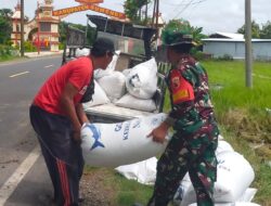 Babinsa Bantu Angkut Gabah Hasil Panen Petani di Desa Sentol Daya