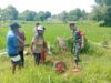 Babinsa Manding Bantu Petani Mengairi Sawah, Wujud Kepedulian TNI terhadap Ketahanan Pangan