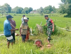 Babinsa Manding Bantu Petani Mengairi Sawah, Wujud Kepedulian TNI terhadap Ketahanan Pangan