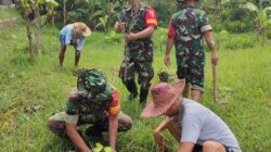 Babinsa Tanam Pohon Sukun Bersama Warga Batuputih Laok