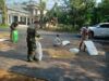 Babinsa Bantu Warga Jemur Hasil Panen Padi di Gapura