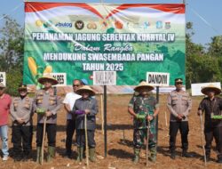 Perkuat Ketahanan Pangan, Dandim Sumenep Tanam Jagung Hibrida Serentak di Lenteng