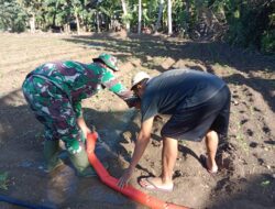 Babinsa Batuputih Dampingi Petani Cabe, Dorong Produktivitas di Musim Kemarau