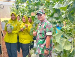 Kenalkan Pertanian Sejak Dini, TK Kartika IV-87 Kodim Sumenep Kunjungi Kebun Melon