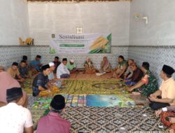 Dorong Produktivitas Petani, Babinsa Talango Ikut Bahas Budidaya Jagung Hibrida