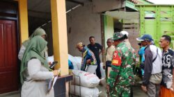 Babinsa Kawal Serap Gabah Petani, Stabilkan Harga Panen Lokal