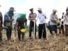 Hadapi El Nino, Percepatan Tanam Padi dan Jagung Digelar di Batang Batang