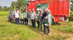 Babinsa Turun Sawah Kawal Panen, Gabah Petani Slopeng Langsung Terserap