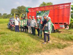 Babinsa Turun Sawah Kawal Panen, Gabah Petani Slopeng Langsung Terserap