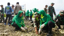 Tanam 3.500 Mangrove, Kodim Sumenep Perkuat Benteng Pesisir dari Abrasi