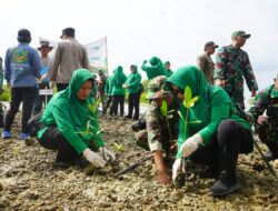 Tanam 3.500 Mangrove, Kodim Sumenep Perkuat Benteng Pesisir dari Abrasi