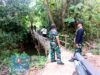 Jembatan Kayu di Manding Diusulkan Diganti Beton Lewat Program Bakti TNI AD