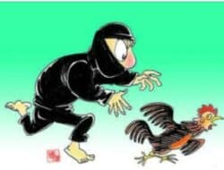 Diduga Curi Ayam Milik Ketua RT Desa Giring, Dua Orang Diamankan Polisi